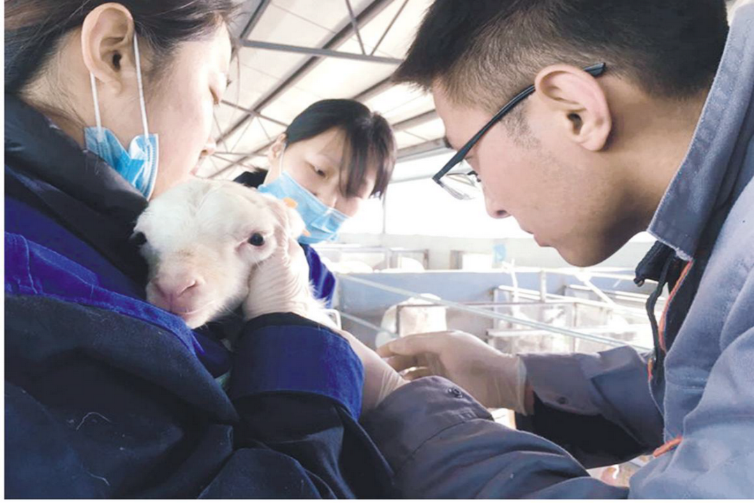 當(dāng)好產(chǎn)業(yè)扶貧主力軍，打贏脫貧攻堅(jiān)戰(zhàn)